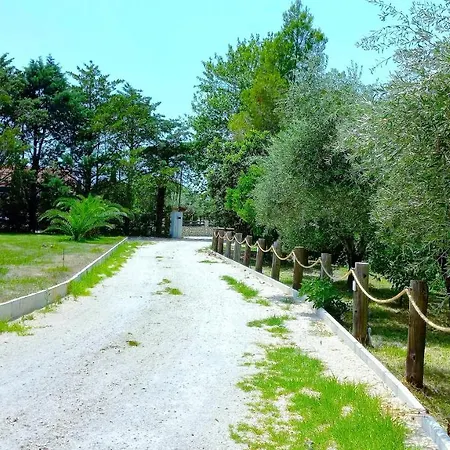 Platanos Semesterbostad Vasiliki