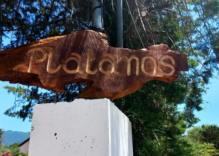 Platanos *